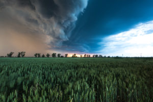 Gewitter über einem Feld Gewitter über einem Feld