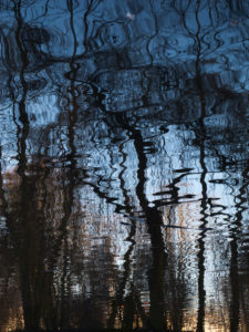 Water reflection in a lake in Brandenburg, Water reflection in a lake in Brandenburg,
