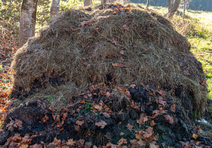 Bildagentur | mauritius images | Agriculture, Dung heap in a field,  Bavaria, Germany, Europe