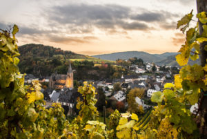 View from a vineyard over the village of Drohn. View from a vineyard over the village of Drohn.