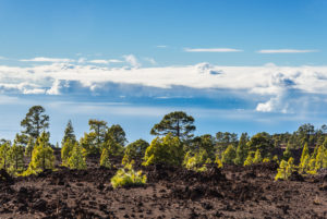 The plateau of El Teide National Park overlooking the low-lying cloud cover. The plateau of El Teide National Park overlooking the low-lying cloud cover.