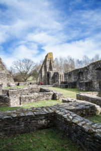 The ruins of the castle Baldenau between the villages Hundheim and Hinzerath in Rhineland-Palatinate, Germany The ruins of the castle Baldenau between the villages Hundheim and Hinzerath in Rhineland-Palatinate, Germany