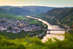 The Moselle loop at Trittenheim overlooking the vineyards. The Moselle loop at Trittenheim overlooking the vineyards.
