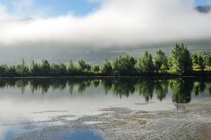 Moselle landscape with morning mist. Moselle landscape with morning mist.