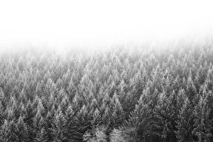 Misty winter landscape in the Hunsrück (German low mountain range) Misty winter landscape in the Hunsrück (German low mountain range)