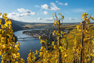 Die Mosel mit herbstlich gefärbten Weinbergen bei Mehring in der Nähe von Trier. Die Mosel mit herbstlich gefärbten Weinbergen bei Mehring in der Nähe von Trier.