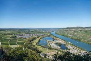 Blick auf Riol und die Mosel Blick auf Riol und die Mosel