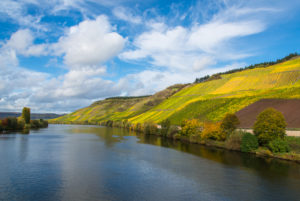 Die Mosel mit herbstlich gefärbten Weinbergen bei Longuich in der Nähe von Trier. Die Mosel mit herbstlich gefärbten Weinbergen bei Longuich in der Nähe von Trier.