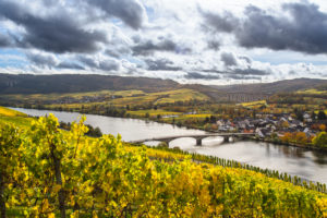 Die Mosel mit herbstlich gefärbten Weinbergen bei Longuich in der Nähe von Trier. Die Mosel mit herbstlich gefärbten Weinbergen bei Longuich in der Nähe von Trier.