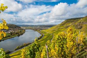 Die Mosel mit herbstlich gefärbten Weinbergen bei Longuich in der Nähe von Trier. Die Mosel mit herbstlich gefärbten Weinbergen bei Longuich in der Nähe von Trier.