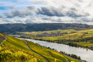 Die Mosel mit herbstlich gefärbten Weinbergen bei Longuich in der Nähe von Trier. Die Mosel mit herbstlich gefärbten Weinbergen bei Longuich in der Nähe von Trier.