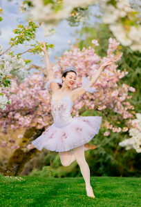 Ballet dancer in a tutu leaping gracefully among blossoming cherry trees. WA, USA