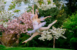 Ballet dancer in a tutu leaping gracefully among blossoming cherry trees. WA, USA