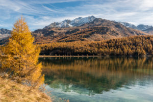 Schweiz, Graubünden, Engadin, Oberengadin, Sils, Silser See, Herbstfärbung, Blick von der Halbinsel Chaste zum Piz Corvatsch und ins Fextal Schweiz, Graubünden, Engadin, Oberengadin, Sils, Silser See, Herbstfärbung, Blick von der Halbinsel Chaste zum Piz Corvatsch und ins Fextal