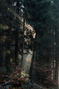 Sonnenstrahlen im herbstlichen Wald Sonnenstrahlen im herbstlichen Wald