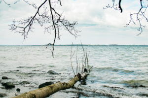Walk in Langballigholz on the Baltic Sea. Walk in Langballigholz on the Baltic Sea.