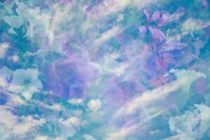 Arrangement of petunias, geraniums, verbena and ivy geranium captured in a double exposure with sky Arrangement of petunias, geraniums, verbena and ivy geranium captured in a double exposure with sky