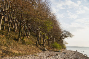 Glücksburg on the Baltic Sea, Quellental beach and forest