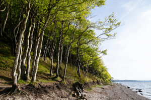 Glücksburg on the Baltic Sea, Quellental beach and forest