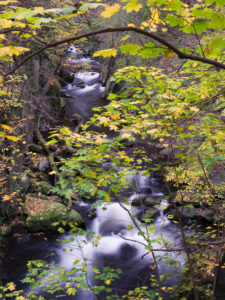 Bode in autumn, Harz National Park, Saxony-Anhalt, Germany Bode in autumn, Harz National Park, Saxony-Anhalt, Germany
