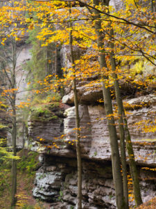Autumn in the Polenztal, Hohnstein, national park Saxon Switzerland, Saxony, Germany Autumn in the Polenztal, Hohnstein, national park Saxon Switzerland, Saxony, Germany