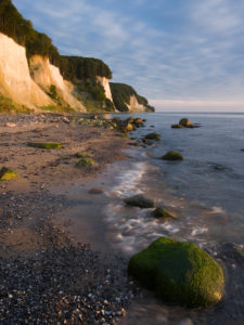 The first light on the chalk coast on Rügen, national park Jasmund, Mecklenburg-West Pomerania, Germany The first light on the chalk coast on Rügen, national park Jasmund, Mecklenburg-West Pomerania, Germany