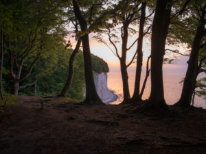 Kreidefelsen bei Sonnenaufgang, Nationalpark Jasmund, Rügen, Mecklenburg-Vorpommern, Deutschland Kreidefelsen bei Sonnenaufgang, Nationalpark Jasmund, Rügen, Mecklenburg-Vorpommern, Deutschland
