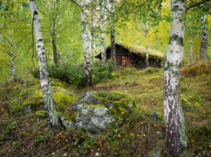 Valdres open air museum, Norway Valdres open air museum, Norway