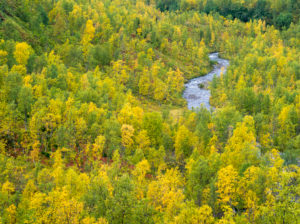 Autumn colors, Senja island, Norway Autumn colors, Senja island, Norway