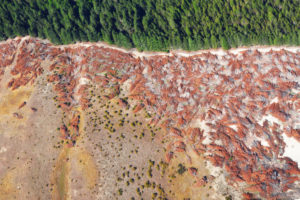 Drone photos show rainforest clearance for agriculture, New Zealand Drone photos show rainforest clearance for agriculture, New Zealand