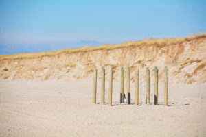 play in the dunes, Sylt, Germany play in the dunes, Sylt, Germany
