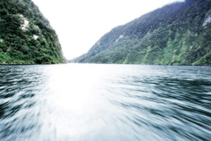 Riverbed of milford sound, new Zeland Riverbed of milford sound, new Zeland