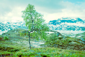 Mountain landscape in Norway