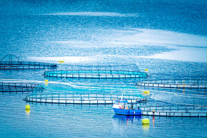 Aquaculture, fish farm in Scandinavia