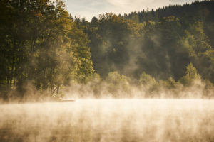 Late-summery morning mood with deep early fog over the forest pond in Dietramszell, Bavaria