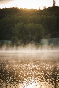 Late-summery morning mood with deep early fog over the forest pond in Dietramszell, Bavaria