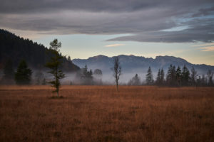 morning mood with morning fog in autumn in Moore in the Filzn near Gaißach, Bavaria