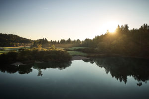 Drone recording of the Koglweiher in Ellbach, Upper Bavaria, in the autumnal morning mood