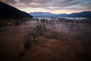 morning mood with morning fog in autumn in Moore in the Filzn near Gaißach, Bavaria