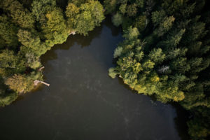 Spätsommerliche Morgenstimmung mit tiefliegendem Frühnebel über dem Waldweiher in Dietramszell, Bayern Spätsommerliche Morgenstimmung mit tiefliegendem Frühnebel über dem Waldweiher in Dietramszell, Bayern