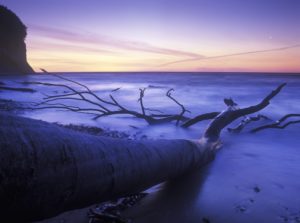Germany, Mecklenburg-Western Pomerania, the Baltic Sea, Rügen, daybreak with moon at the white cliffs, Germany, Mecklenburg-Western Pomerania, the Baltic Sea, Rügen, daybreak with moon at the white cliffs,