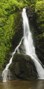 Germany, Baden-Wurttemberg, Black Forest, Wutachschlucht, perpendicular brook gorge, waterfall, rock, moss, Germany, Baden-Wurttemberg, Black Forest, Wutachschlucht, perpendicular brook gorge, waterfall, rock, moss,