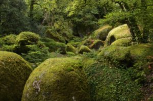 France, Brittany, Finistère, Hualgoat, Rivière d'Argent, boulders in the Argent valley, 'Chaos du moulin', France, Brittany, Finistère, Hualgoat, Rivière d'Argent, boulders in the Argent valley, 'Chaos du moulin',