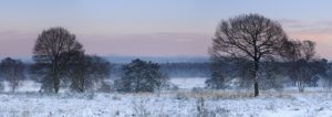 Germany, North Rhine-Westphalia, Wahner Heide, view from the Telegrafenberg in winter at sunrise, Germany, North Rhine-Westphalia, Wahner Heide, view from the Telegrafenberg in winter at sunrise,