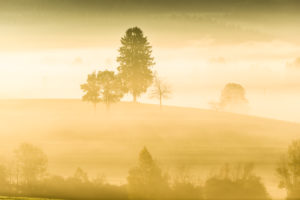 Morning fog above the hilly scenery of Allgäu near Leutkirch, Baden-Wuerttemberg, Germany, Morning fog above the hilly scenery of Allgäu near Leutkirch, Baden-Wuerttemberg, Germany,