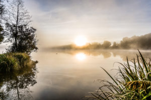 Reflection of the morning sun in the town pond in Leutkirch, Baden-Wuerttemberg, Germany Reflection of the morning sun in the town pond in Leutkirch, Baden-Wuerttemberg, Germany