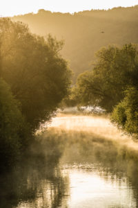 backlight setting in an early morning on the river Altmuehl near Böhming, Bavaria, Germany backlight setting in an early morning on the river Altmuehl near Böhming, Bavaria, Germany