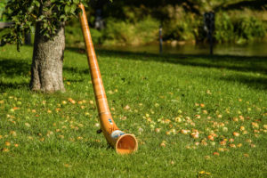 Alphorn leaning against an apple-tree, apples lay in the grass, Böhming, Bavaria, Germany Alphorn leaning against an apple-tree, apples lay in the grass, Böhming, Bavaria, Germany