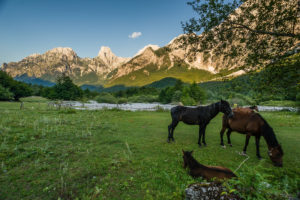 On the scenic path from Valbona over mountain peaks to Theth, past a paddock, Rrogam, Valbona (Valbonë), Kukës, Albania. On the scenic path from Valbona over mountain peaks to Theth, past a paddock, Rrogam, Valbona (Valbonë), Kukës, Albania.