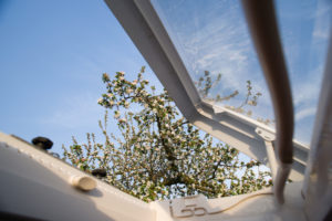 View from the roof window. In spring, a camper van stands idyllically on an orchard between flowering apple trees. In front of it, women sit on camping chairs and eat. Breisach am Rhein, Kaiserstuhl, Baden-Wuerttemberg, Germany View from the roof window. In spring, a camper van stands idyllically on an orchard between flowering apple trees. In front of it, women sit on camping chairs and eat. Breisach am Rhein, Kaiserstuhl, Baden-Wuerttemberg, Germany